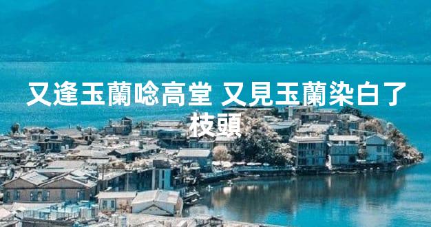 又逢玉蘭唸高堂 又見玉蘭染白了枝頭